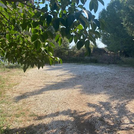 Albarosa Bed & Breakfast Ruvo di Puglia Ngoại thất bức ảnh