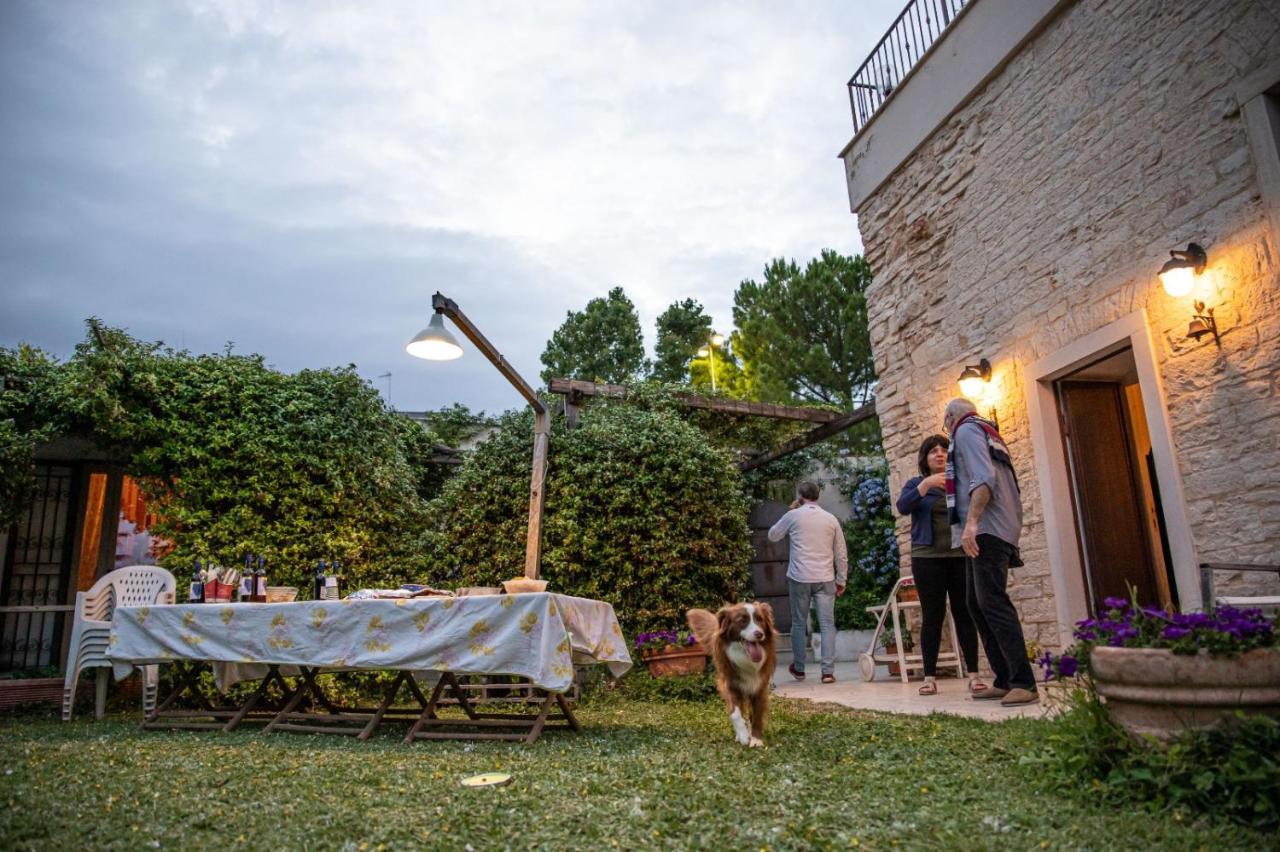 Albarosa Bed & Breakfast Ruvo di Puglia Ngoại thất bức ảnh