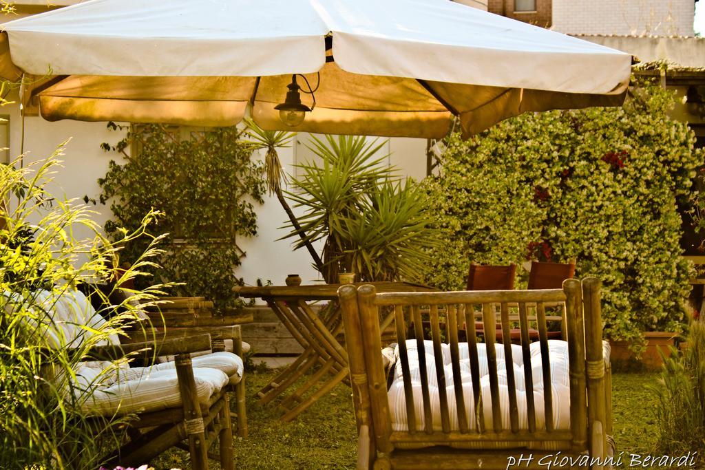 Albarosa Bed & Breakfast Ruvo di Puglia Ngoại thất bức ảnh