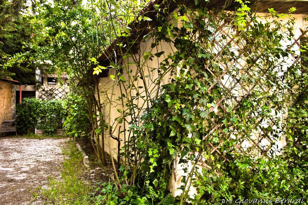 Albarosa Bed & Breakfast Ruvo di Puglia Ngoại thất bức ảnh