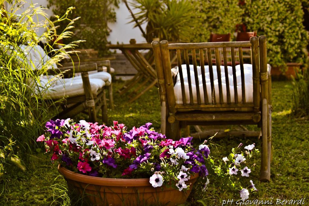 Albarosa Bed & Breakfast Ruvo di Puglia Ngoại thất bức ảnh